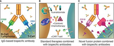 T-cell redirecting therapies for B-cell non-Hodgkin lymphoma: recent progress and future directions